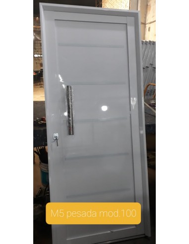 Puerta Rygar Panel Aluminio Mod M5...